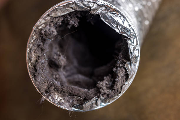 Best Affordable Duct Cleaning Services  in Spotsylnia Courthouse, VA